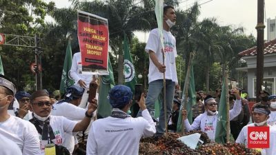 Demo Petani Sawit, Massa Geruduk Kantor Menko Airlangga Hartarto