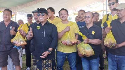 Sambut Galungan dan Kuningan, Politisi Golkar Bagikan 9 Ton Daging Babi di Badung