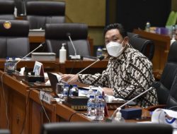 Charles Honoris Dorong Kajian Obyektif Terkait Ganja Untuk Kepentingan Medis