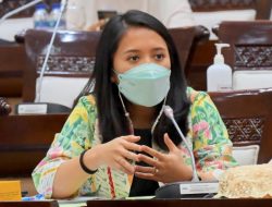 Puteri Komarudin Minta DJP Usut Tuntas Kasus Kekerasan Libatkan Pegawai Pajak Kota Bekasi