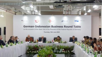 Bertemu Airlangga Hartarto, Presiden Jerman Jadikan RI Mitra Strategis Hadapi Tantangan Global