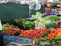 Inflasi Meroket, Pemerintah Panama Kontrol Harga 72 Jenis Bahan Makanan