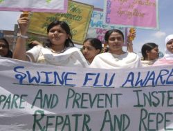 Waspada! Kasus Flu Babi Meningkat Tajam di India