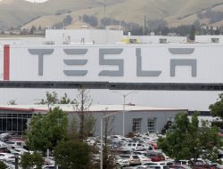 Menko Luhut: Tesla Teken Kontrak 5 Tahun Pembelian Nikel Senilai Rp.74 Triliun Dari Indonesia