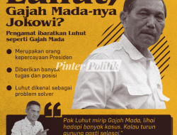 Menko Luhut, Patih Gajah Madanya Jokowi