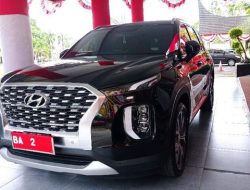 Instruksi Jokowi, Menko Luhut Bakal Ganti Semua Mobil Dinas Pemerintah Dengan Mobil Listrik