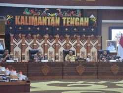 Wagub Kalteng Edy Pratowo Ikut Rakor Pengendalian Inflasi Bersama Mendagri