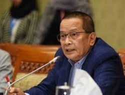 Darul Siska Tekankan Pentingnya Pembentukan Satgas Pengawasan TKA