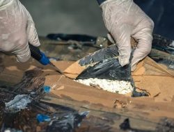 Pihak Keamanan Arab Saudi Berhasil Gagalkan Penyelundupan 750 Ribu Pil Captagon