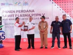 Gubri Syamsuar Dianugerahi Bapak Petani Plasma Riau