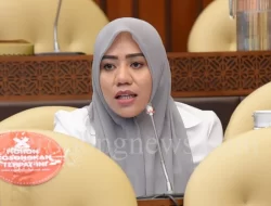Alien Mus: Badan Pangan Nasional Harus Jadi Solusi Krisis Pangan Indonesia