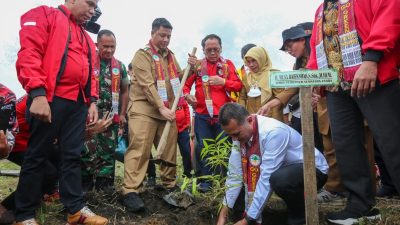 Bersama Bupati Samosir dan Pemuda Batak Bersatu, Wagubsu Musa Rajekshah Tanam 10 Ribu pohon