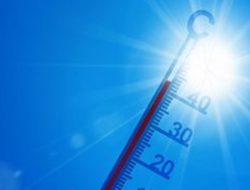 15.000 Orang Meninggal Akibat Cuaca Panas Sepanjang 2022, WHO Ingatkan Bencana di Masa Depan