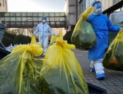 15 Ribu Bebek Terpaksa Dimusnahkan Usai Terjangkit Flu Burung