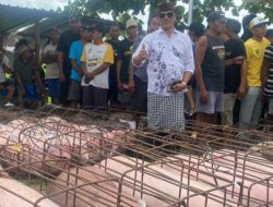 Tradisi Galungan, Ketua Golkar Badung Wayan Suyasa Bagikan 11 Ton Daging Babi