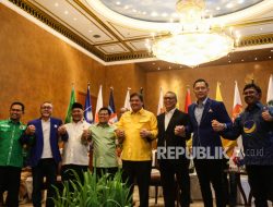 Airlangga: Golkar Pengalaman Sistem Tertutup Tapi Tak Ingin Demokrasi Mundur