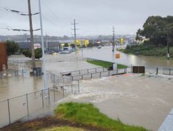 Banjir Bandang Melanda Selandia Baru, 4 Warga Auckland Tewas
