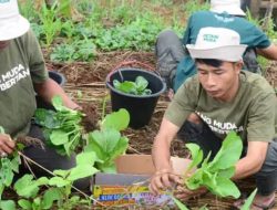 Peserta Program Petani Milenial Jabar Merugi, Ridwan Kamil Minta Maaf