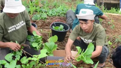 Peserta Program Petani Milenial Jabar Merugi, Ridwan Kamil Minta Maaf