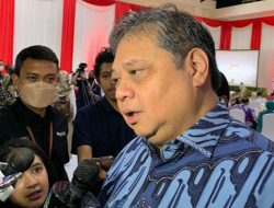 Menko Airlangga Harap Harga Beras Tak Anjlok Saat Panen Raya
