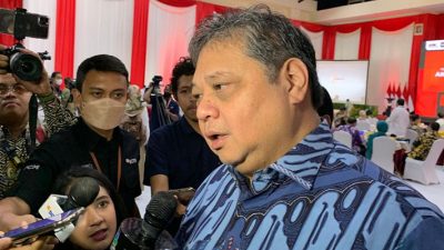 Menko Airlangga Harap Harga Beras Tak Anjlok Saat Panen Raya