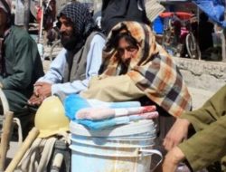 UNAMA: 700 Ribu Orang Afghanistan Kehilangan Pekerjaan Setelah Taliban Berkuasa