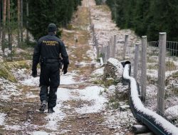 Ancaman Perang di Depan Mata, Finlandia Bangun Pagar di Perbatasan Rusia