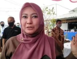 Punya 112 Bidang Tanah, Harta Rp.62 Miliar Milik Bupati Pandeglang Irna Narulita Jadi Sorotan