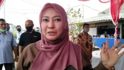 Punya 112 Bidang Tanah, Harta Rp.62 Miliar Milik Bupati Pandeglang Irna Narulita Jadi Sorotan