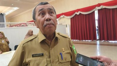 Sempat Berseteru, Ini Respons Syamsuar Saat Bupati Meranti Terjaring OTT KPK