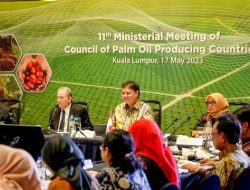 Menko Airlangga: Petani Kecil Tulang Punggung Industri Kelapa Sawit RI