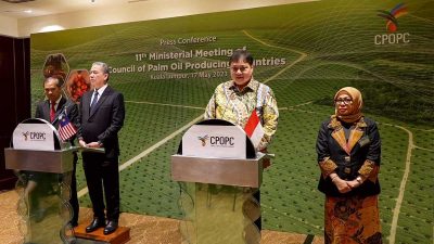Menko Airlangga: Minyak Sawit Tak Hanya Penting Bagi Negara Anggota CPOPC Tapi Juga Untuk Dunia