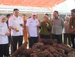 Firman Soebagyo Minta Pemerintah Fasilitasi Budidaya Talas Beneng, Cegah Krisis Pangan