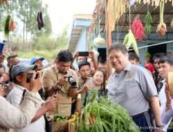 Menko Airlangga Dorong Sektor Pertanian di Sumut Mampu Tingkatkan Perekonomian Nasional
