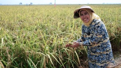 Ratu Tatu Chasanah Raih Penghargaan Satyalencana Wira Karya di Bidang Pertanian