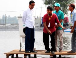 Singapura Gembira Jokowi Cabut Larangan Ekspor Pasir Laut