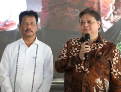 Resmikan 6 Perusahaan di Kawasan Industri Wiraraja, Menko Airlangga Apresiasi Kinerja BP Batam
