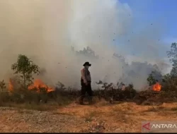 Gubri Syamsuar: Jangan Buka Lahan di Riau Dengan Membakar!