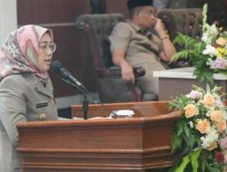 Dipimpin Anne Ratna Mustika, Capaian Investasi Purwakarta Meroket Hingga Rp.9,5 Triliun