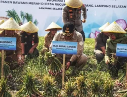 Masifkan Desa Mandiri Benih, Cara Arinal Djunaidi Tekan Inflasi di Lampung