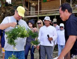 Tinjau Desa Nelayan Lembongan, Menko Airlangga Dukung Pengembangan Budidaya Rumput Laut