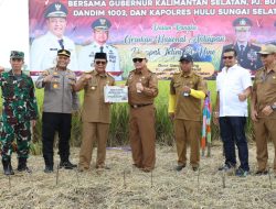 Sahbirin Noor Panen Raya di HSS: Insya Allah Kalsel Jadi Penyangga Pangan Nasional