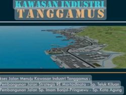 Menko Airlangga Ungkap Alasan Pemerintah Setop Proyek Pembangunan Kawasan Industri Tanggamus