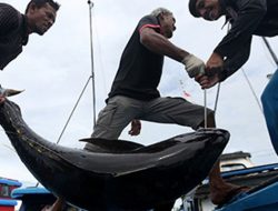 Kebijakan KKP Dinilai Beratkan Pelaku Usaha Perikanan: Tak Bayar PNBP, Izin Dicabut