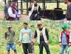 Bagus Adhi Mahendra Putra Beri Edukasi Produksi Pupuk Organik Bagi Kelompok Ternak di Bali