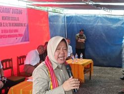 Mensos Risma Sambangi NTT: Tebar Bansos dan Bantu Warga Ternak Babi dan Ayam