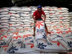 Lagi, Bulog Masukkan 500 Ribu Ton Beras Impor ke Indonesia