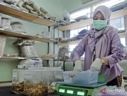 Menperin Agus Gumiwang: Ekspor Obat-obatan Indonesia Naik 8,78 Persen