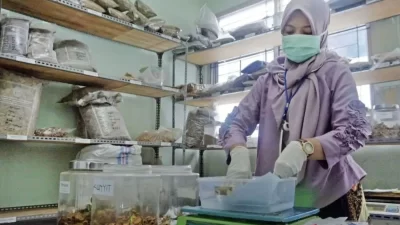 Menperin Agus Gumiwang: Ekspor Obat-obatan Indonesia Naik 8,78 Persen