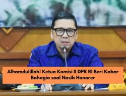 Kabar Bahagia Ahmad Doli Kurnia Soal Pengangkatan Honorer Jadi ASN